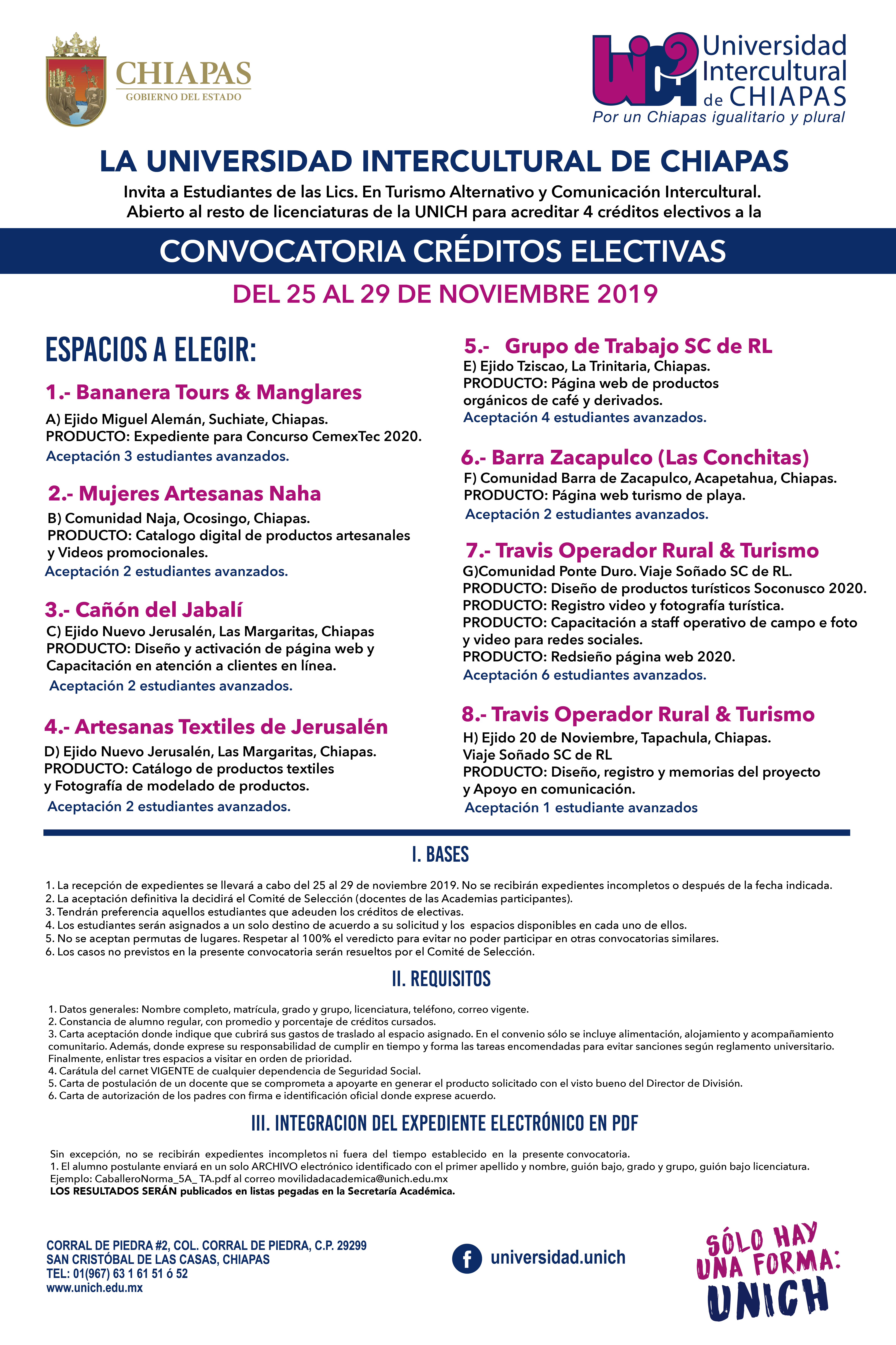 Convocatoria Créditos Electivas | UNICH