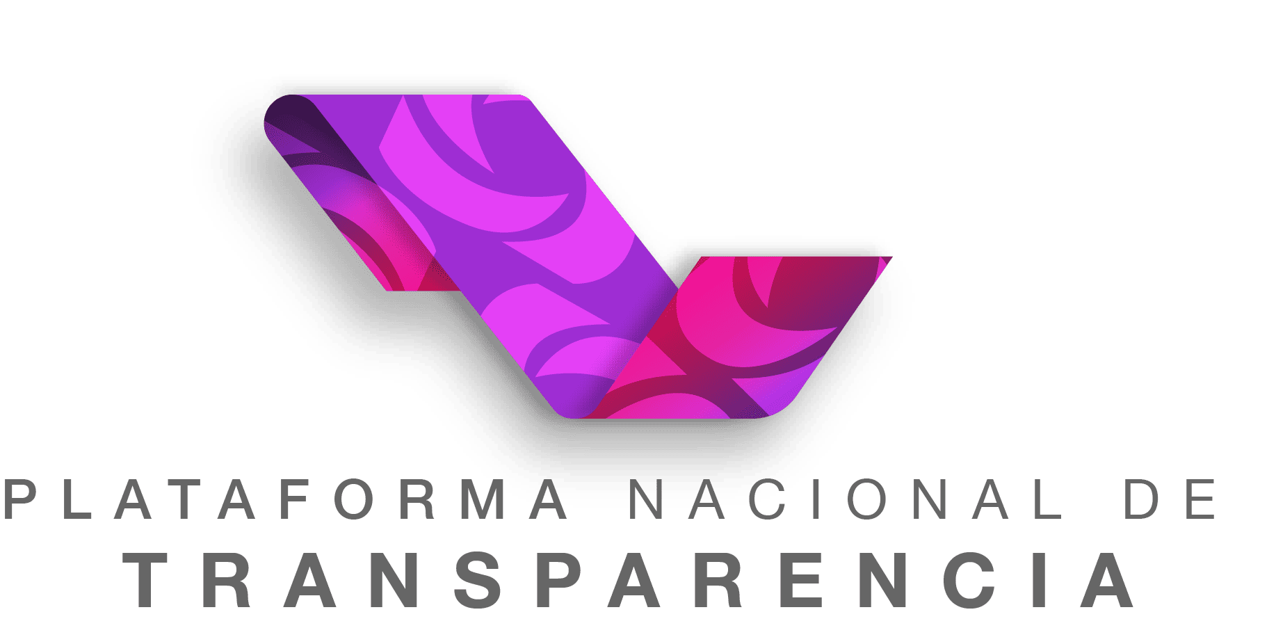 Logo_PNT.png